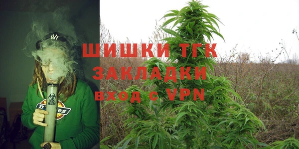МДПВ Алзамай