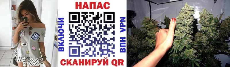 Каннабис Bruce Banner  Спас-Клепики 